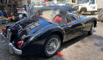 MG MGA – 415899166 pieno